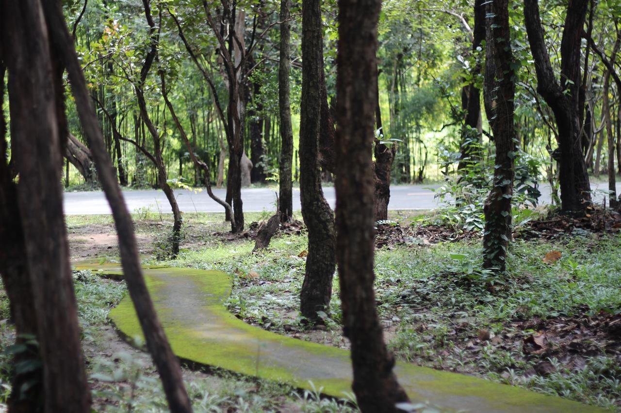 Foresta Villa Hang Dong Exterior foto